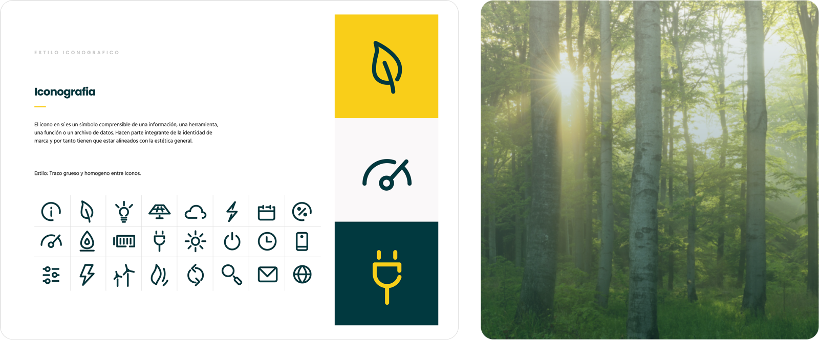 Iconografía del sistema visual de Vivolt